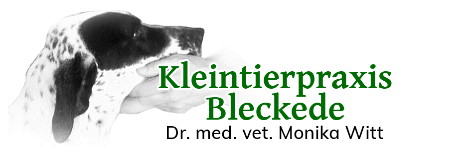 Kleintierpraxis Bleckede - Dr. med. vet. Monika Witt (vormals Doepmann)