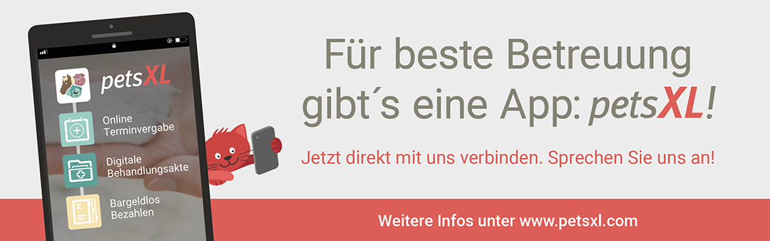 Websites_Banner_Verlinkung_zu_petsXL